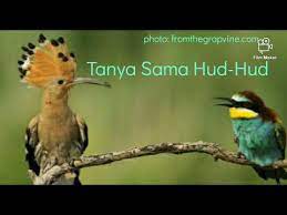 M nasir tanya sama itu hud hud official lyric video. Download Bedah Lagu Tanya Sama Itu Hud Hud M Nasir Tanya Diri Sendiri Mp4 3gp Hd Naijagreenmovies Fzmovies Netnaija