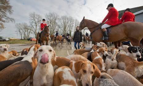 The foxhunting ban 10 years on: has the countryside changed for ever? | Hunting | The Guardian