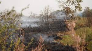 Großbrand im Hohen Venn: Feuer breitet sich immer weiter aus, Monschau bereitet mögliche Evakuierungen vor — Aachener Zeitung