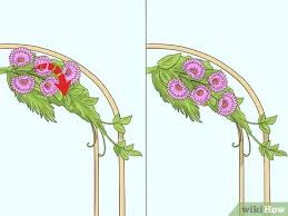 Whether you choose fresh or faux, floral or greenery, the effect is sure. How To Decorate A Wedding Arch With Pictures Wikihow