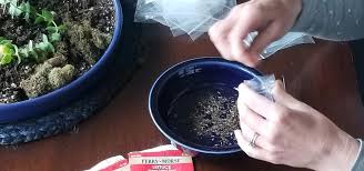 At home stores & openning hours in oregon city. Osu Extension S Food Hero To Distribute 80 000 Seeds As Part Of Grow This Oregon Garden Challenge Oregon State University