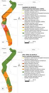 Image result for Megaloprotachne