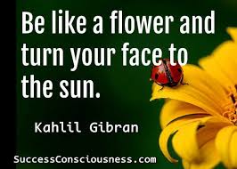 These sunflower quotes are sure to brighten your day. 42 Inspirational Sunflower Quotes To Brighten Your Life