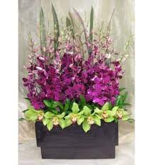 Purple Dendrobium Orchids Green Cymbidium Orchids And Flax In Black Rectangle Wooden Large Flower Arrangements Flower Arrangements Simple Orchid Arrangements