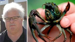 Stora kräftfiskekvällen väntar: ”Goda förutsättningar för bra fiske”