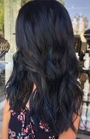 When the lighting changes, so does your hair color. 25 Sexy Black Hair With Highlights For 2020 The Trend Spotter