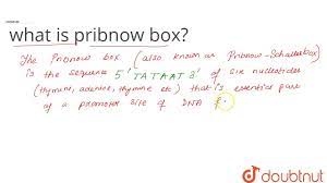what is pribnow box? - YouTube