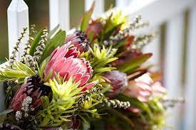 Resendiz Brothers Protea Farm Ubloom Protea Plant Growing Flowers Unique Flowers