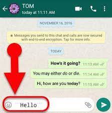 Whatsapp Font Style Bold Italic Strikethrough Fixedsys Etc Howtomob Font Styles Iphone Hacks Fonts