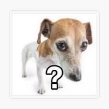question mark dog meme Sticker for Sale by BoomerStickers | Redbubble