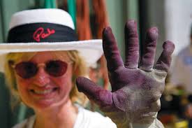 All Wimberley Lodging