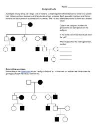 Terms in this set (6). 49 Genetics Ideas Genetics Teaching Biology Pedigree Chart
