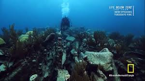 Drain The Bermuda Triangle 2014 Photo Gallery Imdb