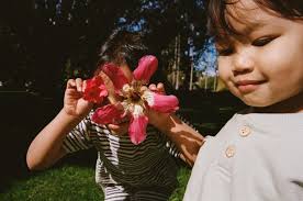 Nicki Sebastian (@nickisebastian) • Instagram photos and videos