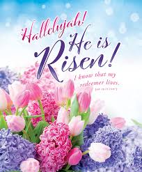 He is risen, happy easter holiday celebration card. Hallelujah He Is Risen Easter Legal Size Bulletin Cokesbury