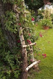 Im Garten Mit Sabine Wuhr Ich Bin Stolz Ein Solches Fleckchen Erde Zu Besitzen In 2020 Garten Herbstgarten Schattengarten