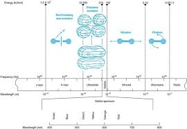 Introductory Chapter Infrared Spectroscopy A Synopsis Of