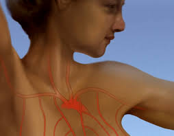 Devon Stuart :: Behance