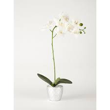 The popularity of the orchid flower can be contributed to a number of factors. Large Artificial Orchid In Silver Chrome Vase 51cm Home George At Asda