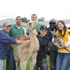 Vacation rentals available for short and long term stay on vrbo. Camel Rentals And Exotic Petting Zoos For Events In Kentucky And Ohio