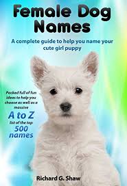 Great products for a new puppy buddyrest comfort deluxe memory foam dog bed Female Dog Names A Complete Guide To Help You Name Your Cute Girl Puppy Packed Full