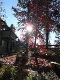 See reviews, photos, directions, phone numbers and more for gold country craigslist locations in auburn, ca. Gold Country Apartments Housing Rentals Craigslist Renting A House Apartment Country