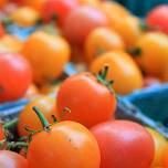 Ashfield Farmers’ Market