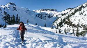 Maybe you would like to learn more about one of these? Artist Point Huntoon Point Every Two Pines