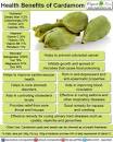 Image result for what are the health benefits of cardamom