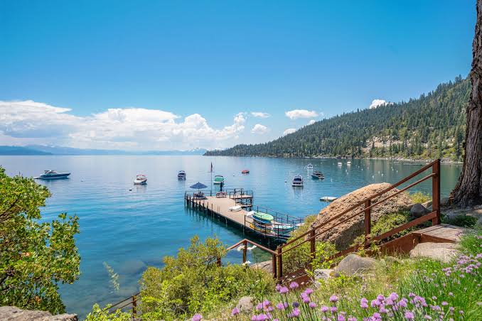 Just Listed | Lakefront Living at Crystal Bay Cove - Amie Quirarte