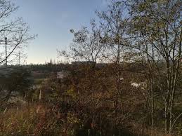 Ogrodki Dzialkowe Na Pomorzanach Https Www Instagram Com P Bqdqotsbqvg Utm Source Ig Share Sheet Igshid 17n7er2mhpooe