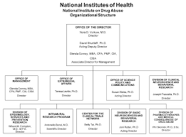 Human Resources Organizational Chart Simple Resume