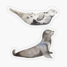 Pier 39 in san francisco during the coronavirus pandemic. Seal Art Stickers Redbubble