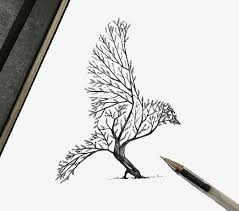 المبدع قلم رصاص رسم النسر Art Drawings Sketches Creative Nature Art Drawings Art Drawings Sketches