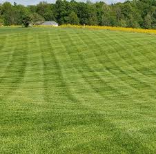 We want to use your business next year too! Lawn And Landscape Business 4 Sale Home Facebook