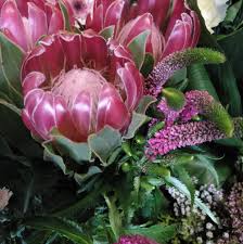 esenzia arte floral
