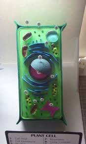 We did not find results for: Plant Cell Felt Diagram Google Search Pflanzenzellenmodell Pflanzenzelle Zellenmodell