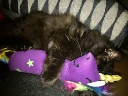 A free printable parent teacher resource to help the young artist gain confidence in drawing a furry puppy dog. Best Interactive Cat Toys In 2021