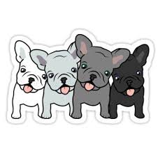 Cute French Bulldogs Sticker By Tara Rebuck Cute French Bulldog Cute Dog Drawing Bulldog Cartoon