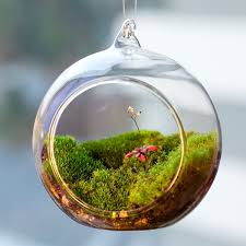 Terrarium Hanging Glass Vase Hanging Terrarium Terrarium