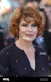 Fanny face hi-res stock photography and images