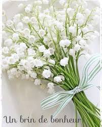 Pin By Christine Wild On Divers In 2020 Flowers Lily Of The Valley Instagram