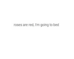 No Time For Love Poems Insta Bio Quotes Bio Quotes Instagram Bio Quotes insta bio quotes