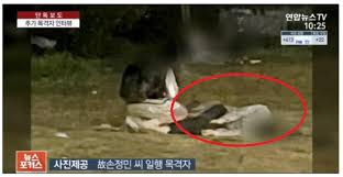 새벽 한강 달리던 세 남자…경찰 손정민 실종과 무관 연합뉴스 (yonhapnews). Qhlpway6y29ndm