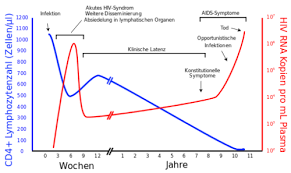 Neben fieber sind zudem halsschmerzen, geschwollene lymphknoten und fallweise auch hautausschlag die häufigsten. Erste Hinweise Dass Ein Retrovirus Aids Verursacht Scilogs Wissenschaftsblogs