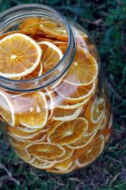 Tranche D Orange Deshydratees Recette Orange Recettes Nourriture Deshydratee Desydrateur