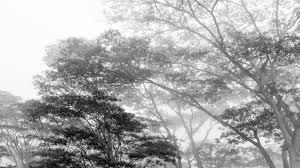 Reversão do despacho para exploração em montalegre seria crime. Joao Galamba Photography Landscape B W