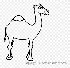 How to draw a camel. Cartoon Camel Pencil Drawing Drawing Wallpaper