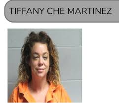 Lagrone, Alexis Danielle Mugshot | 2025-03-30 Henderson ...