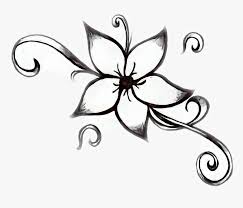 Unless you live in a place where no flowers are in bloom or if you're allergic to pollen, i recommend that you go outside and take i'll mark the lightest areas with white ink, applied with a nib pen. Flowers Black And White Beginner Easy Drawing Flowers Hd Png Download Transparent Png Image Pngitem
